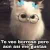Animalitos con frases 3❤️😎 9