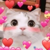 Gatitos_corazoncitos 11
