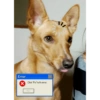 Error
X
Click "Fix" to fix error.
Fix
/