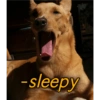 -sleepy