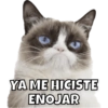 YA ME HICISTE ENOJAR