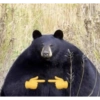 Memes clássicos da internet 15