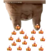 STICKERSMN