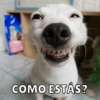 CÓMO ESTÁS?
