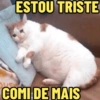 ESTOU TRISTE
COMI DE MAIS