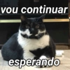 vou continuar esperando