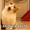 AY QUE BONITO