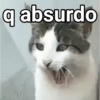 q absurdo