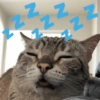 N N N N N
