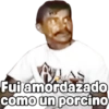 Virales: Estamos perdidas 22