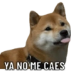 YA NO ME CAES