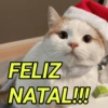 FELIZ NATAL!!!