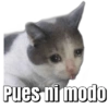 Memes pa' decir SI A TODO 10