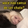 você não cansa
de ser chato?