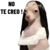 NO TE CREO !!