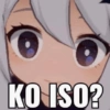 KO ISO?