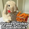 Animalitos con frases 3❤️😎 8