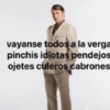 vayanse todos a la verga pinchis idiotas pendejos ojetes culeros cabrones d@valouie