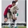 Macacos 30