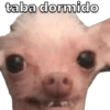 taba dormido