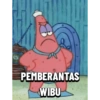 Patrick Si Bodoh V3 16