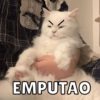 EMPUTAO