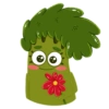 Baby Broccoli 9