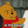 URSINHO POOH 11