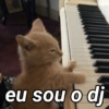 eu sou o dj