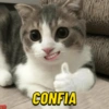 CONFIA