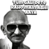 Mahatma Gandhi 13