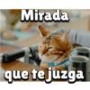 Mirada
que te juzga