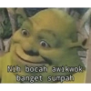 Nih bocah awikwok
banget sumpah