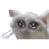 Memes sad 21