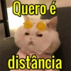 Respostas secas🙂 9