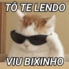 TÔ TE LENDO
VIU BIXINHO