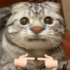 GeysiOy