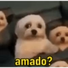 amado?