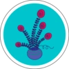 Pushp 6