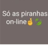 Status do zap 💬 16