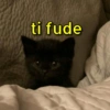 CARÊNCIA & MEMES 7
