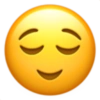 Iphone emoji 30