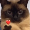 Любовь 15