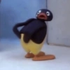 Pingu  28