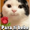 Para ti bebe