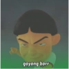 goyang borr