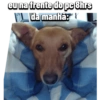 eu na frente do pc 8hrs
da manhã: