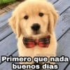 Animalitos con frases 3❤️😎 12
