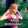 AAA BODOAMAT