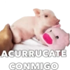 CERDITOS CARIÑOSOS 10